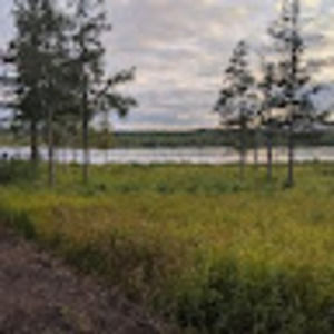 Meet your Posher, Andy